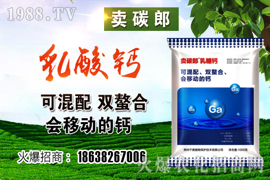 政策阻力較大,小麥價(jià)格整體高位趨穩(wěn)!