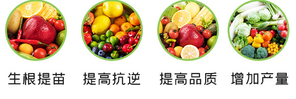養(yǎng)根促根型有機水溶肥料-一畫農業(yè)_06