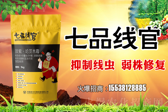 白菜根結(jié)線蟲危害極大!抓緊防治!白菜根結(jié)線蟲有效藥劑推薦!