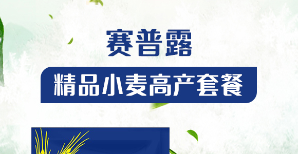 精品小麥高產套餐-賽普露_01
