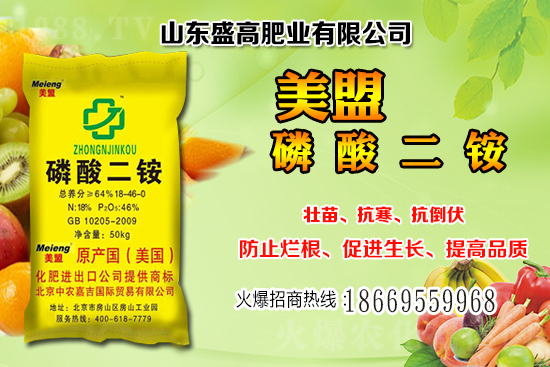 近期小麥價格還會繼續(xù)上漲嗎？12月小麥價格行情分析