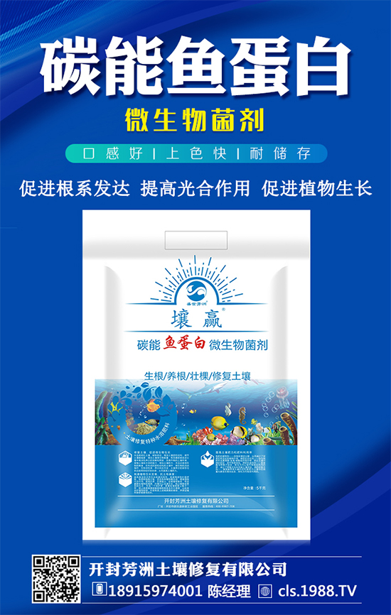 豆角種植時(shí)間，豆角生長(zhǎng)過(guò)程的管理要點(diǎn)！