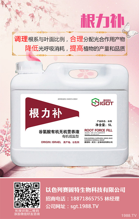 小麥春季常見的病害有哪些？該如何防治？春季小麥病害防治方法介紹