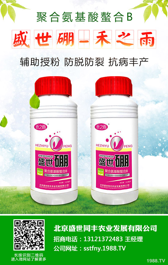 如何促進(jìn)西瓜種子發(fā)芽？西瓜種子發(fā)芽要注意哪些問題