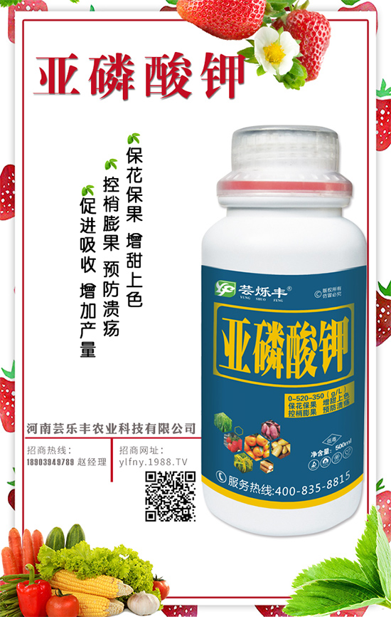 花生什么時間種植？花生生長管理要點！