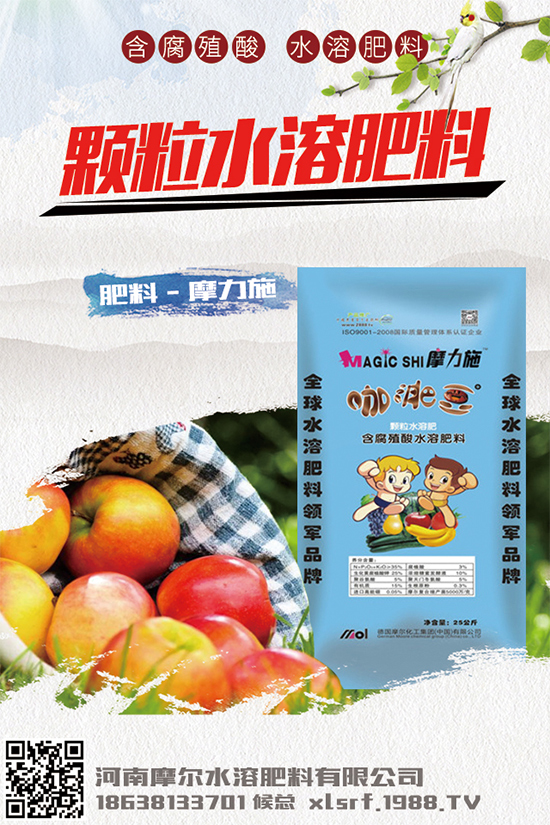 種植白術(shù)掙錢嗎？2020白術(shù)種植前景及效益分析