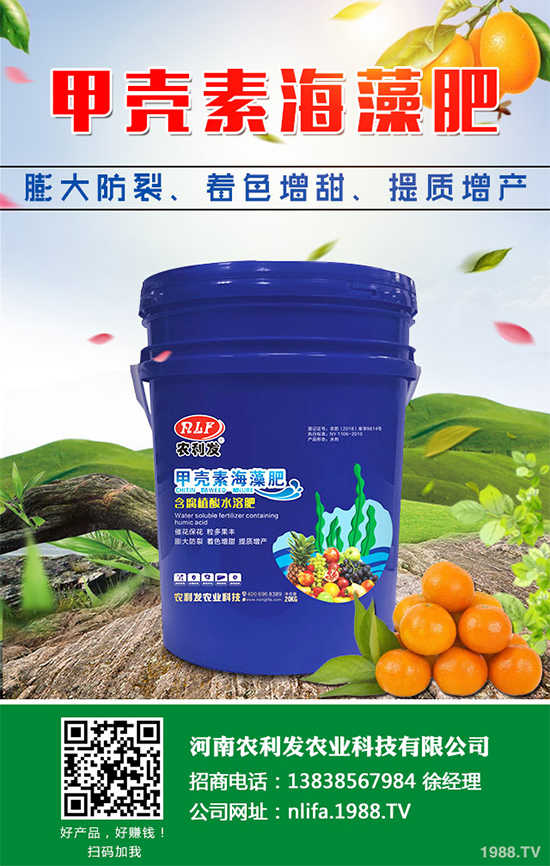 種植白術(shù)掙錢嗎？2020白術(shù)種植前景及效益分析