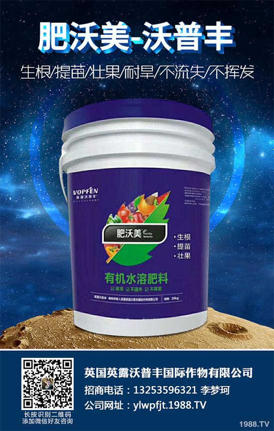 金銀花種植前景如何？2020金銀花的種植前景及效益分析