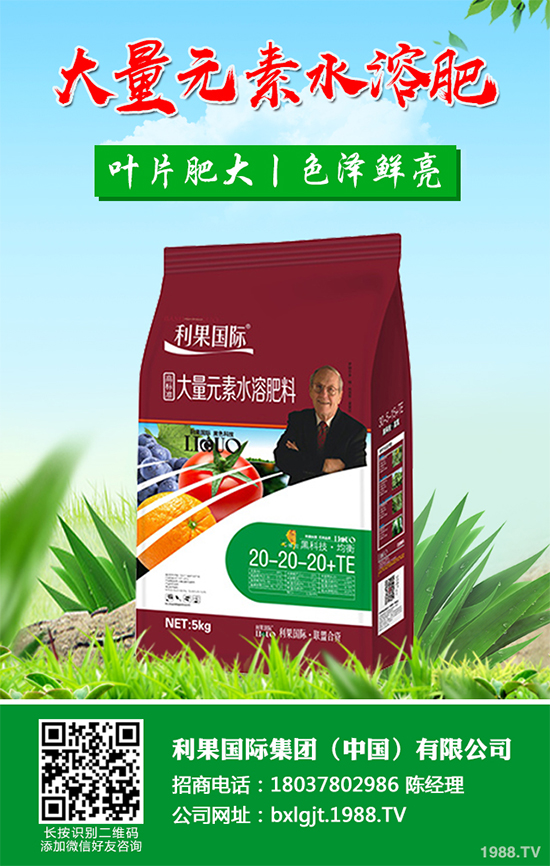 金銀花種植前景如何？2020金銀花的種植前景及效益分析