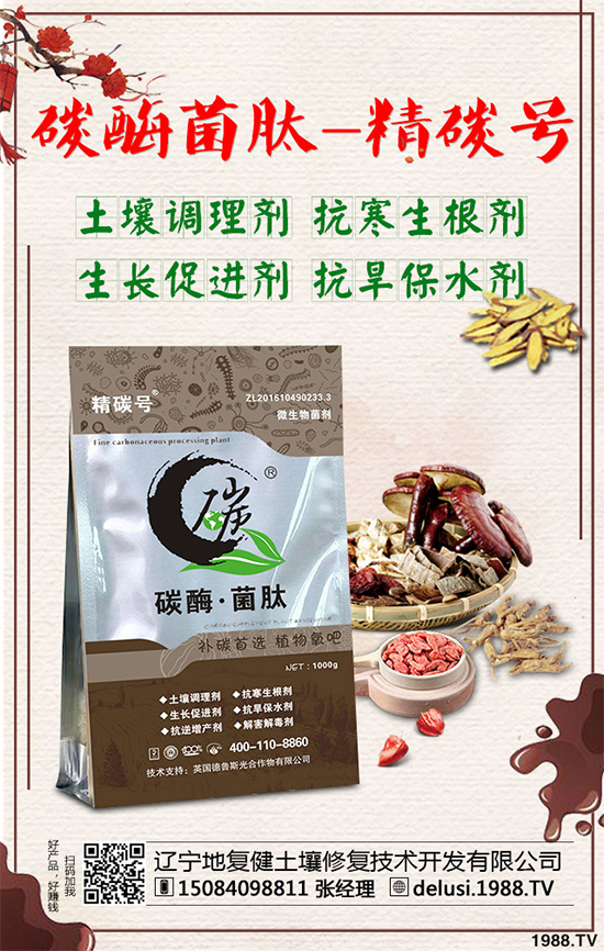     天麻是我國一味傳統(tǒng)中藥材，做藥用已有一千多年的歷史，一般用以頭暈目眩、肢體麻木、小兒驚風等癥，釀成的養(yǎng)生酒有除百病、益壽延年的功效。那么，種植天麻能掙錢嗎？2020年天麻的種植前景如何？