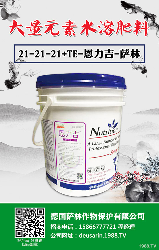 辣椒根腐病有治嗎？辣椒根腐病發(fā)病規(guī)律及防治措施！