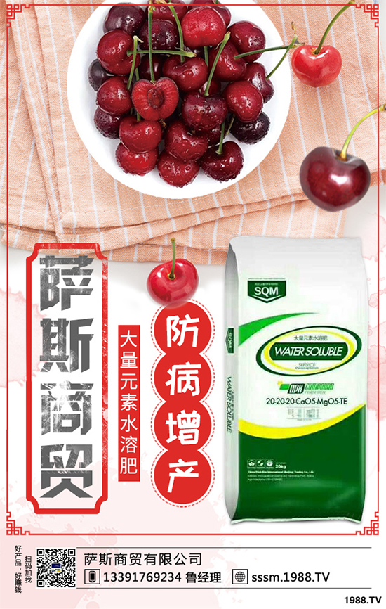 春玉米該如何種植？早春玉米高產(chǎn)種植技術(shù)要點(diǎn)