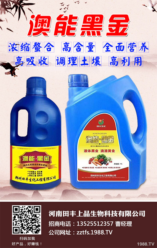 南瓜種植如何提高座果率？南瓜增產(chǎn)增收五大方法