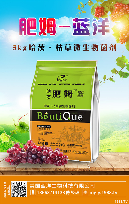 花椒樹該如何種植？三步幫你輕松種出高產(chǎn)花椒！