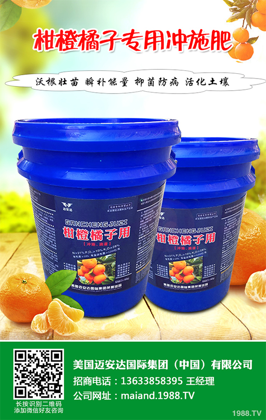 花椒樹該如何種植？三步幫你輕松種出高產(chǎn)花椒！