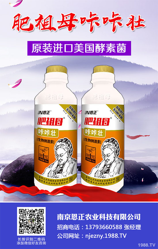 春季花椒樹常見的病蟲害有哪些？該如何防治？花椒病害的發(fā)生與防治