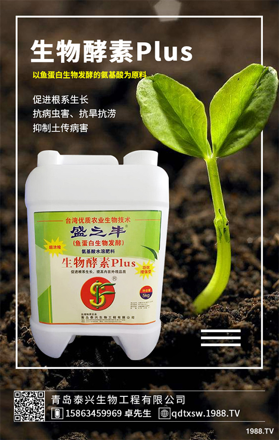 菜菔子有哪些神奇功效？萊菔子的功效作用及食用禁忌