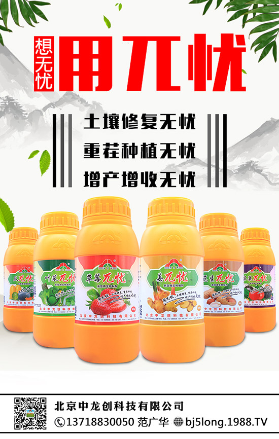 草莓為什么會(huì)發(fā)生肥害，草莓肥害要怎么補(bǔ)救？ 