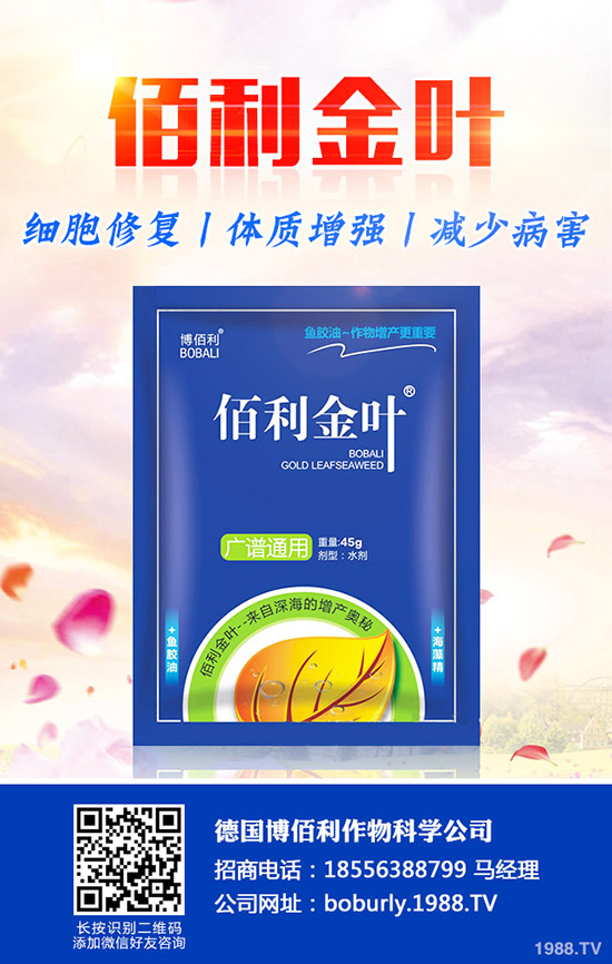 果樹如何預防肥害，發(fā)生肥害了如何補救？