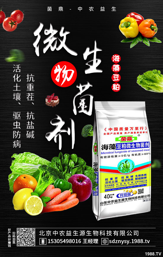     二銨全力發(fā)運(yùn)春耕需求，價格穩(wěn)定！最新二銨行情走勢2020-3-28！