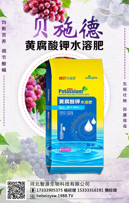 芹菜的營(yíng)養(yǎng)價(jià)值有哪些？常吃芹菜有什么好處？