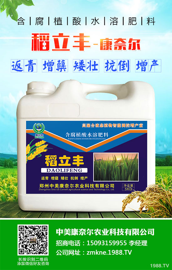 小麥四月份遇到“倒春寒”有多大影響？該如何補(bǔ)救？小麥四月份農(nóng)事指南