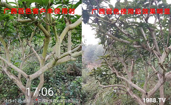 廣西百色客戶未使用時和使用后效果明顯!