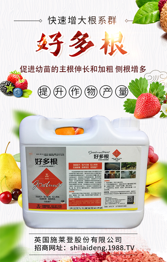 春季菠菜在什么時候種植好？菠菜種植技術(shù)要點有哪些？	