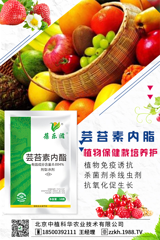 枸杞要怎么種植？枸杞水肥管理要點(diǎn)！