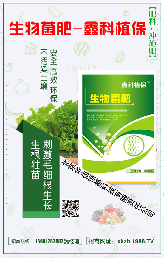 春季種植菠菜的施肥技巧以及要點(diǎn)！