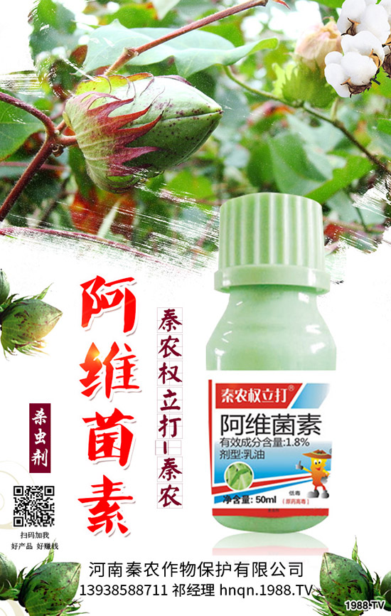 番茄生理性卷葉是什么原因？番茄生理性卷葉病的防治！