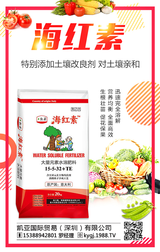 辣椒種植發(fā)展的現(xiàn)狀如何?辣椒高產(chǎn)種植技術(shù)要點!