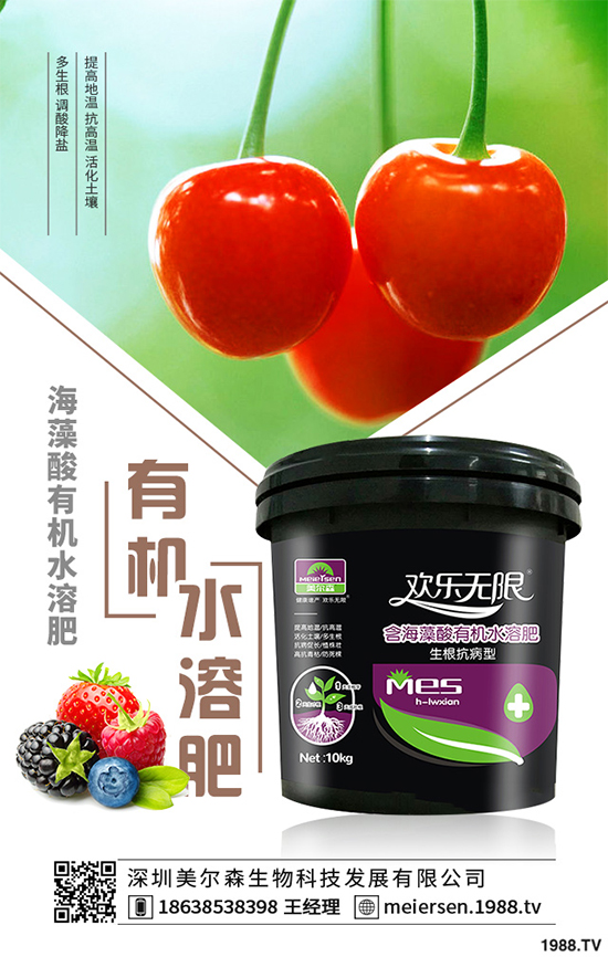 楊梅的品種有哪些？該如何栽培？春季楊梅種植技術