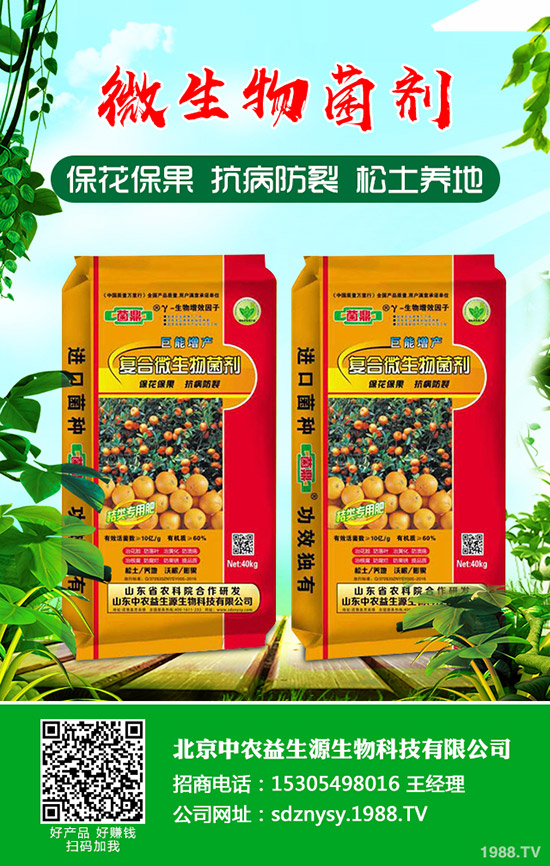     小麥中后期主要病害有哪些？如何防治！防治技術(shù)指導(dǎo)意見有哪些？