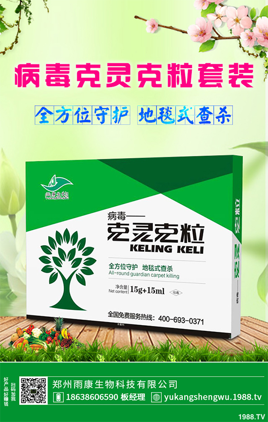 �W�ˌ�Ҫ���á���ɭ�i�\����