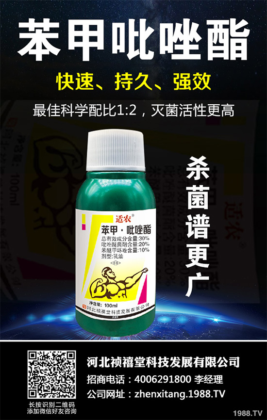 ������������~���򊙊���(l��i)�t��ǰ������