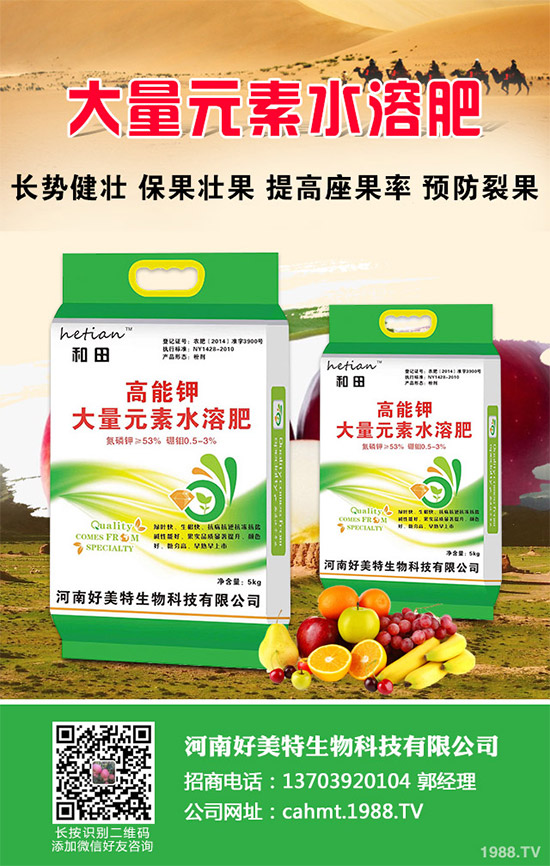 細香蔥如何種植才能高產(chǎn)？需要注意什么？這五個小技巧分享一下！