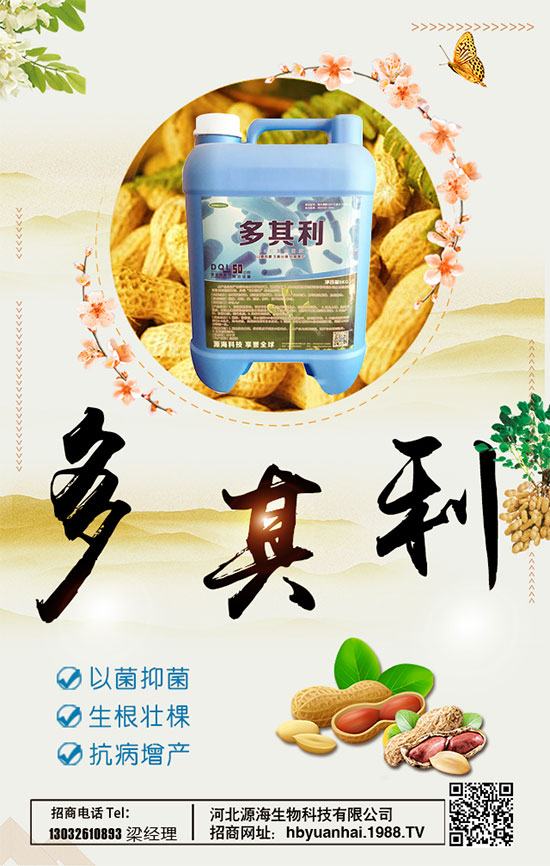 洋蔥什么時間種植好？洋蔥種植想高產怎么種植？