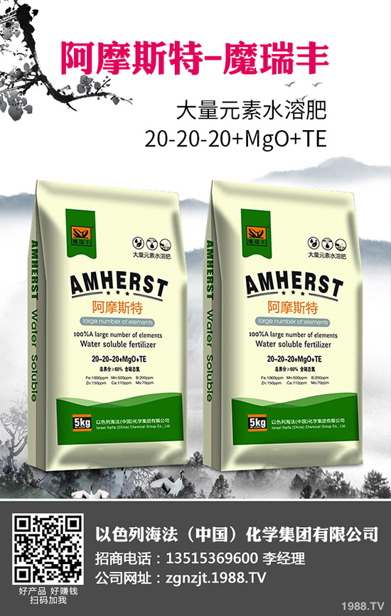 2020年春玉米什么時(shí)間播種？春玉米種植技術(shù)