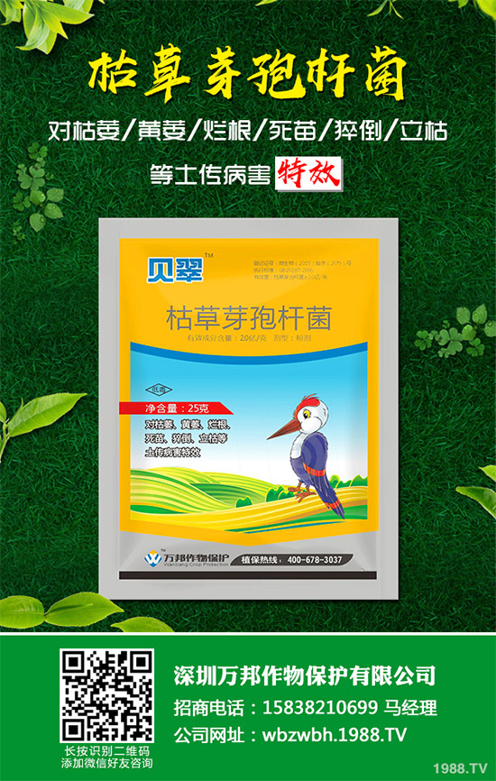 小麥赤霉病藥劑防治效果，有了新變化！