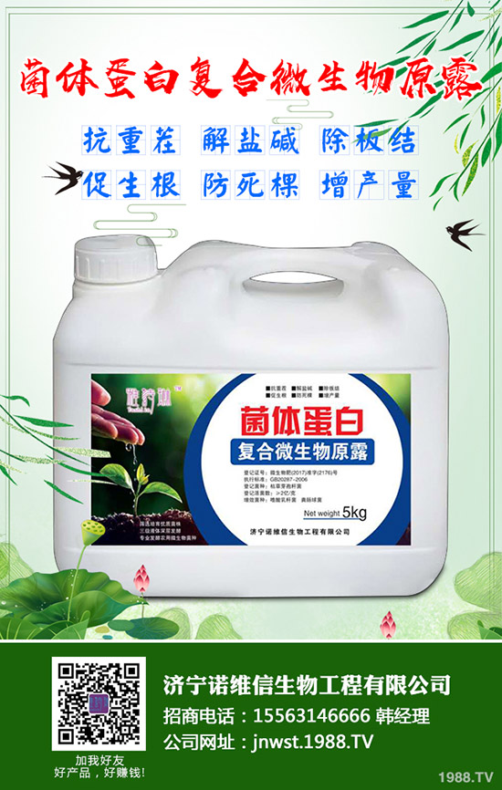 大豆施用硼肥有哪些好處？大豆施用硼肥的技術(shù)！