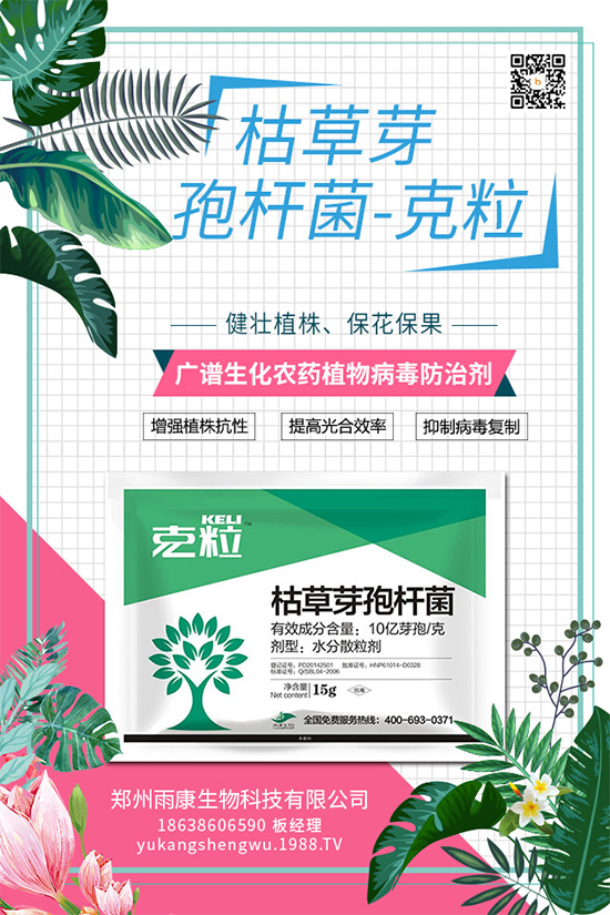 ����(n��i)����(chu��ng)��ֲ��Դ������ˎ���ذ����u��
