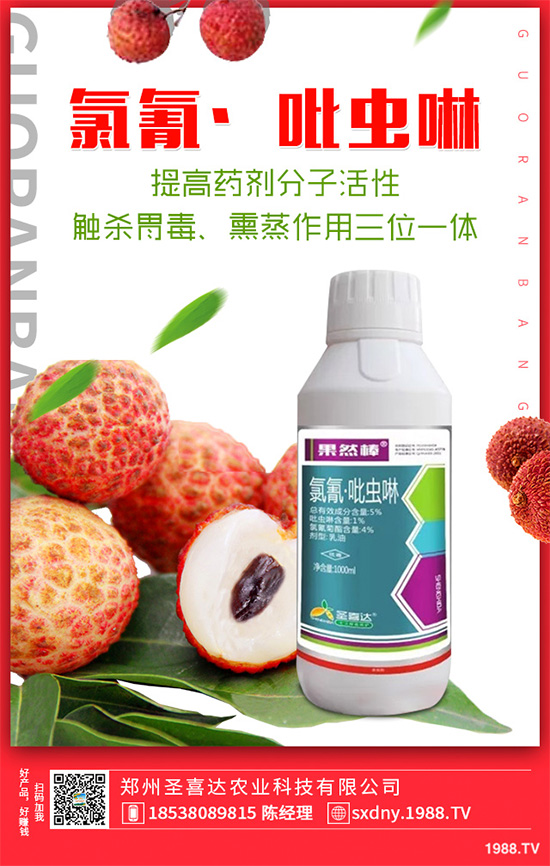��������ӛ���������x�y��߀�������������T��Ҫ���(qu��n)��������