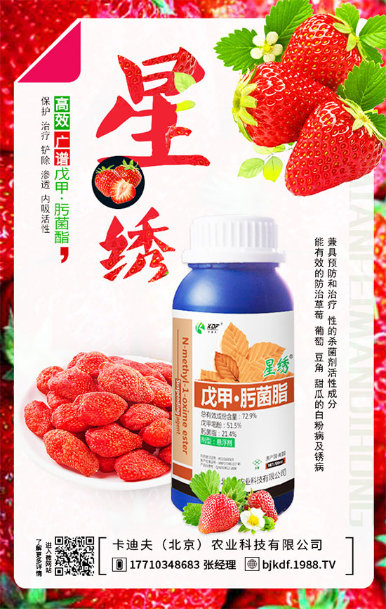 ����Ҫ��Ҫ���������������_��֦�������