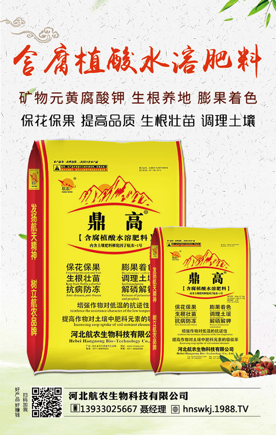 西瓜枯萎病如何防治？西瓜枯萎病和青枯病的區(qū)分！