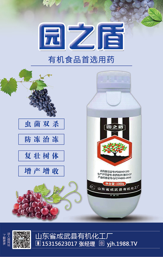 �J�S���ʩ�ʣ��J�S��ʲô���Ϻ����J�S������c(di��n)��ע�����(xi��ng)��