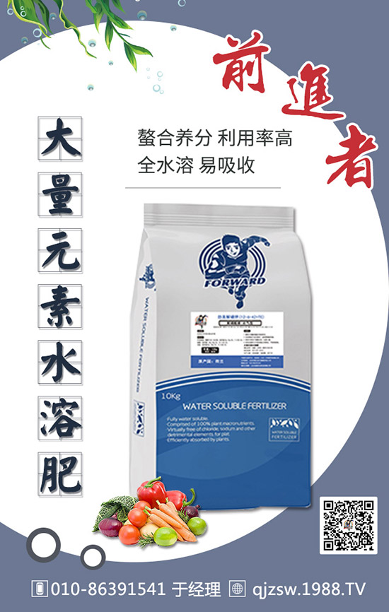 柑橘肥害有哪些癥狀，如何預防補救柑橘肥害司