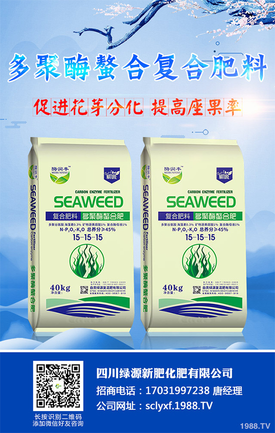 向日葵什么時候播種？該如何管理？高產(chǎn)向日葵高產(chǎn)種植管理技術(shù)