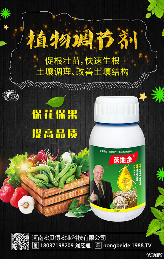 小香芹有哪些食用價值?小香芹的形態(tài)特征!