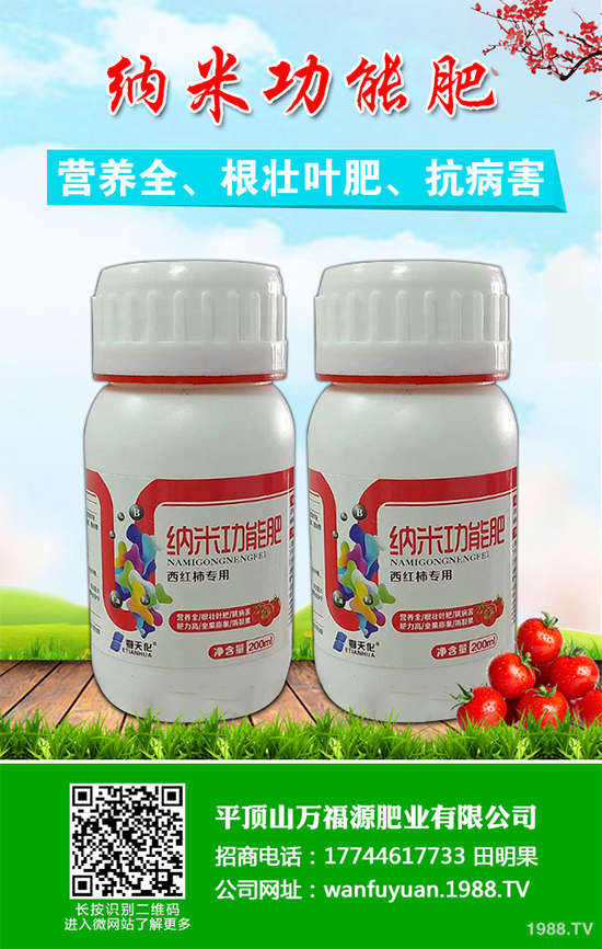 水蜜桃該如何種植?五步教你輕松種出肉厚多汁水蜜桃!